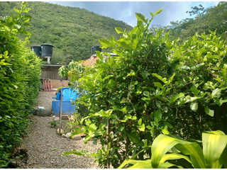 Foto 11 de Casalote urbano de 238 M2 en 260 mill en Apulo Cund, COL