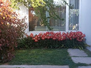 Foto 12 de Casa en barrio cerrado. Villa Elvira, La Plata