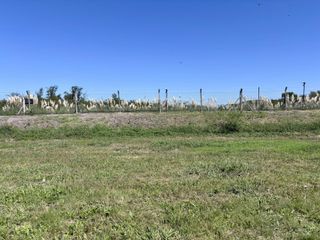 Foto 10 de LOTE EN VENTA EN SAN SEBASTIAN AREA 10