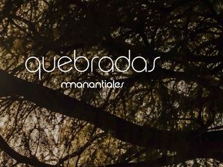 Foto 1 de Terreno en  venta en Quebradas de Manantiales 258 m2