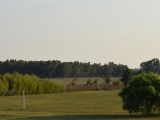 Foto 2 de TERRENO EN VENTA URGENTE 600M2 TIEMPOS DE CANNING BARRIO PRIVADO