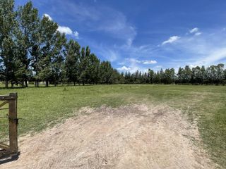 Foto 6 de Terreno en  Venta en Chacras de Abbott, San Miguel del Monte