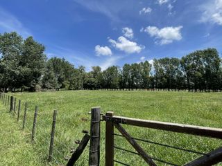 Foto 4 de Terreno en  Venta en Chacras de Abbott, San Miguel del Monte