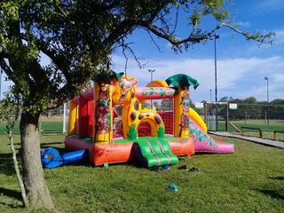 Foto 8 de Local con 2 Canchas de Futbol 5