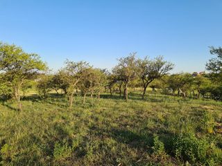 Foto 4 de Lotazo sobre cancha de Golf -  Alta Gracia Country Golf