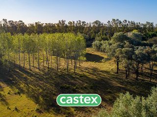 Foto 12 de Lote en venta en Azzurra Tortugas.
