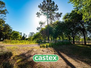 Foto 19 de Lote en venta en Azzurra Tortugas.