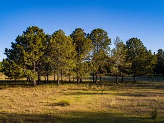 Foto 6 de Lote en venta en Azzurra Tortugas.