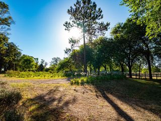 Foto 4 de Lote en venta en Azzurra Tortugas.