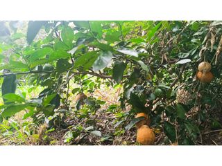 Foto 15 de Maat vende lote en condominio Villeta  6.400 m2 $720Millones