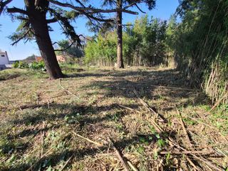 Foto 9 de VENTA LOTE  QUILMES CENTRO