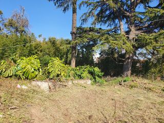 Foto 5 de VENTA LOTE  QUILMES CENTRO