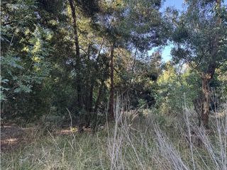 Foto 7 de Lote en venta en Los Bosquecitos. Con construcción.