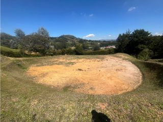Foto 5 de Venta de Lote en Llanogrande, Sector Sajonia