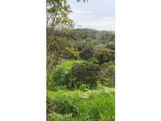 Foto 3 de BROKER - LOTE EN VENTA EN PARCELACION SAN FRANCISCO POPAYAN