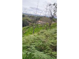 Foto 4 de BROKER - LOTE EN VENTA EN PARCELACION SAN FRANCISCO POPAYAN