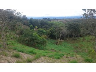 Foto 1 de BROKER - LOTE EN VENTA EN PARCELACION SAN FRANCISCO POPAYAN