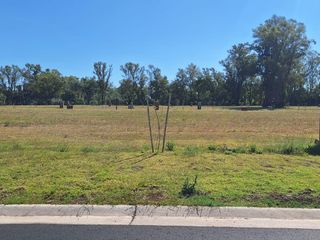 Foto 8 de Terreno en  Pilar Golf en venta