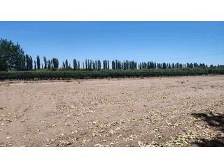 Foto 1 de VENTA TERRENO EXCEPCIONAL SOBRE CALLE MARTINEZ Y NUEVA AUTOPISTA-JUNIN
