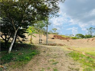 Foto 8 de VENTA LOTE EN CODOMINIO SANTANDER QUILICHAO CAUCA