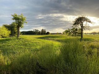 Foto 5 de Hermoso Lote en Venta en Medal Country Club, Pilar