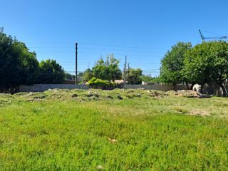 Foto 2 de Terreno en alquiler en Garin