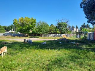Foto 4 de Terreno en alquiler en Garin