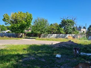 Foto 3 de Terreno en alquiler en Garin