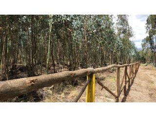 Foto 6 de Lasso, Terreno en Venta, 5290m2, Cos PB 15%, 2 Pisos