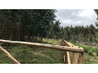 Foto 3 de Lasso, Terreno en Venta, 5290m2, Cos PB 15%, 2 Pisos