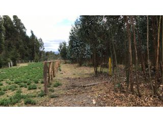 Foto 4 de Lasso, Terreno en Venta, 4916m2, Cos PB 15%, 2 Pisos