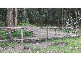 Foto 8 de Lasso, Terreno en Venta, 5120m2, Cos PB 15%, 2 Pisos