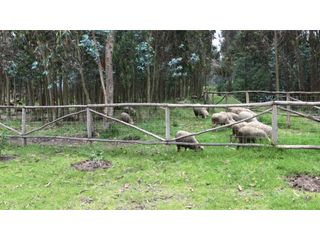 Foto 9 de Lasso, Terreno en Venta, 5120m2, Cos PB 15%, 2 Pisos