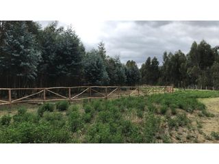 Foto 5 de Lasso, Terreno en Venta, 5120m2, Cos PB 15%, 2 Pisos