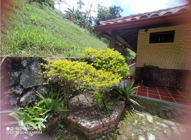 place photo 51