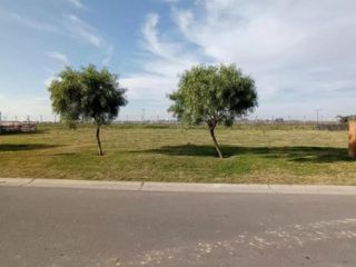 Foto 21 de Terreno en venta - 1.730mts2 - San Sebastián