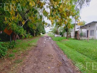 Foto 11 de Venta de casa quinta de 3 ambientes con jardín en Arturo Segui