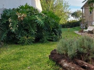 Foto 15 de Terreno en Lanús Oeste
