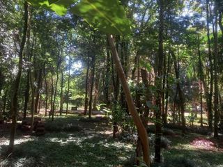 Foto 1 de Lote en venta en Panambi