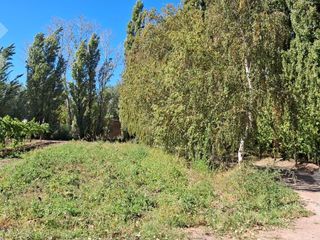 Foto 10 de En Venta, Chacra,  Limite Neuquén y Plottier, Calle Rio Colorado
