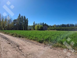 Foto 3 de En Venta, Chacra,  Limite Neuquén y Plottier, Calle Rio Colorado