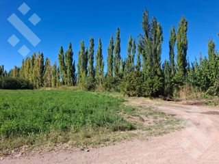 Foto 7 de En Venta, Chacra,  Limite Neuquén y Plottier, Calle Rio Colorado