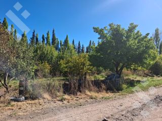 Foto 6 de En Venta, Chacra,  Limite Neuquén y Plottier, Calle Rio Colorado