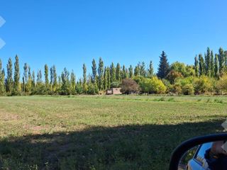 Foto 4 de En Venta, Chacra,  Limite Neuquén y Plottier, Calle Rio Colorado
