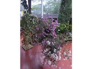 Foto 45 de SE VENDE CASA EN LAGOS DEL CACIQUE EN BUCARAMANGA SANTANDER