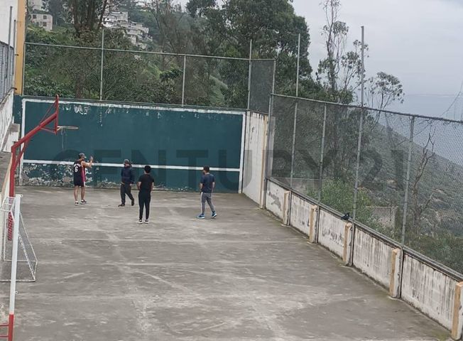 place photo 16