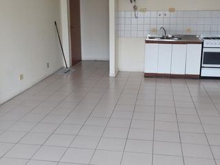 Foto 3 de Departamento en Constitución