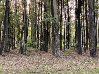 Foto 7 de Terreno - Oeste