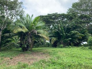 OCASION! TERRENO DE 169 100 M2  EN IQUITOS - $75 000