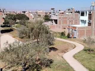 Foto 26 de HERMOSA  CASA DE ESTRENO EN VENTA -  URBANIZACION  EL OLIVAR - TACNA